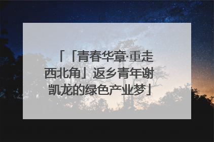 「青春华章·重走西北角」返乡青年谢凯龙的绿色产业梦